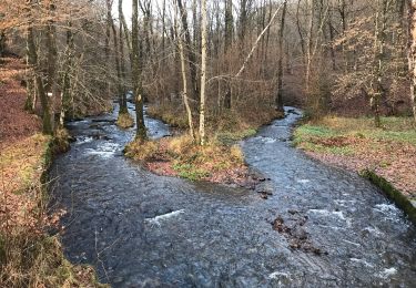 Trail Walking Herbeumont - RSIH - Herbeumont - L'Antrogne - Photo