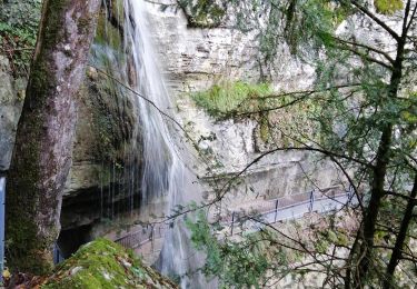 Tour Wandern Talloires-Montmin - cascade langon - Photo