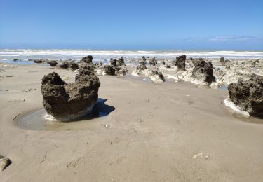 Tour Wandern Ault - Picardie Ault a Mers-les-Bains par la plage et retour par les falaises - Photo