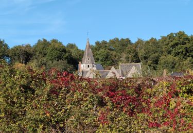 Trail Walking Saint-Martin-le-Beau - Saint-Martin-le-Beau - Zig zag Dierre - 22km 330m 4h45 (1h) - 2024 10 05 - Photo