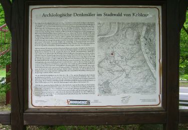 Trail On foot  - Rheinburgenweg Zugangsweg Merkurtempel - Photo