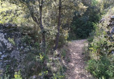 Trail Walking Saint-Bonnet-du-Gard - Pont du Gard  par St Bonnet - Photo