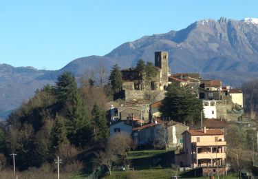Percorso A piedi Fivizzano - Trekking Lunigiana 12 - Photo