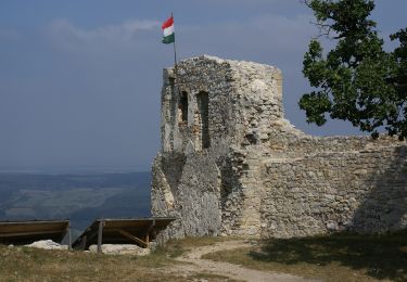 Randonnée A pied Rezi - Rezi Vár Tanösvény - Photo