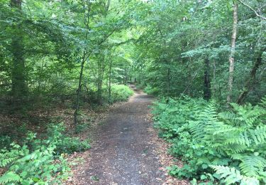 Tocht Stappen Limburg - Grunhault  - Photo