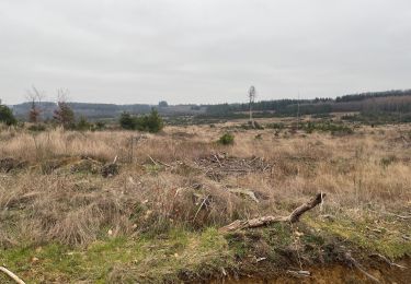 Tocht Stappen Léglise - ADEPS les fosses - Photo