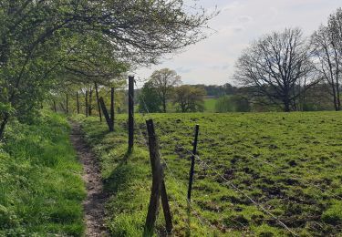 Percorso Marcia Chaumont-Gistoux - Dion-le-Mont - Bonlez - Photo