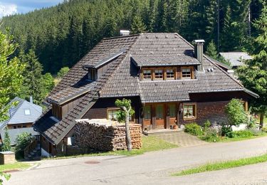 Tocht Stappen Feldberg - Feldsee & Feldberg - Photo