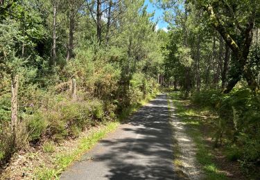 Trail Hybrid bike Vendays-Montalivet - Montalivet - Queyrac - Phare de Richard - Photo