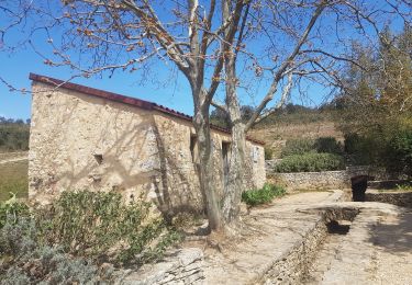 Tour Wandern Nîmes - Clos Gaillard  - Photo