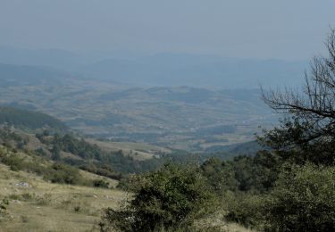 Excursión A pie Desconocido - Gârnic – Ravensca – Valea Izvorul Lung – Poiana Debeliliug – Bigăr – Poiana Ravna – Dubova (red stripe) - Photo