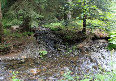 Randonnée A pied Stadtsteinach - Geo-Pfad Steinachtal - Photo