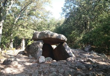 Tocht Stappen Arles-sur-Tech - E1-GR10-2024 - Photo