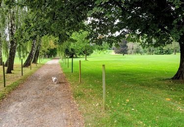 Tour Wandern Lasne - Vallée du Smohain & Golf de Waterloo - Photo