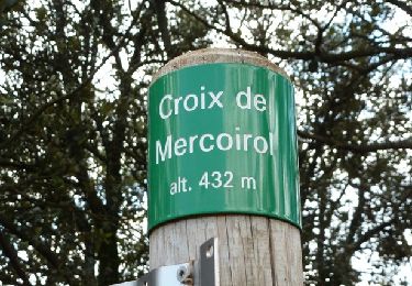 Tocht Te voet Rousson - La Croix de Mercouriol - Photo