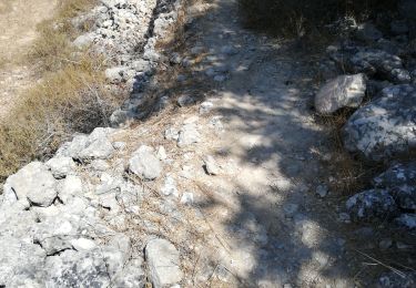 Randonnée Trail ביתר עילית - Husan WHP - Photo