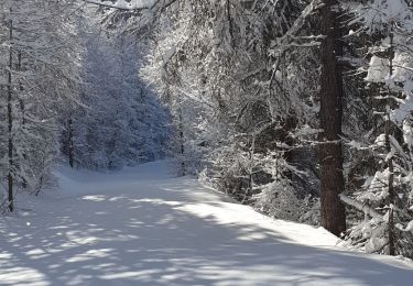 Tour Wandern Risoul - risoul 1850/ haut Gaudissard - Photo