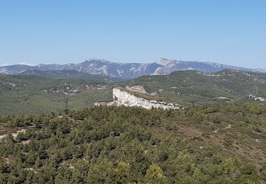 Trail Walking Cassis - Cassis Couronne de Charlemagne - Photo