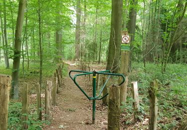 Tour Wandern Braine-le-Château - braine le château et Ittre - Photo