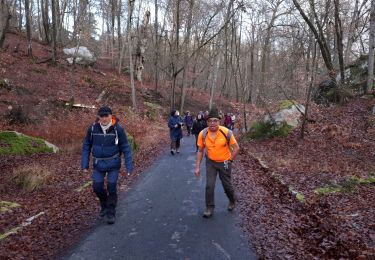 Trail Walking Fontainebleau - barbizon  ( Michel  ) - Photo