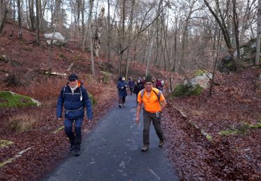 Excursión Senderismo Fontainebleau - barbizon  ( Michel  ) - Photo