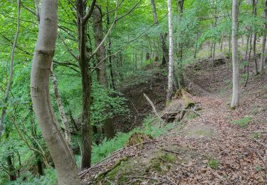 Trail On foot Pucking - Wanderweg Sipbachtal - Photo