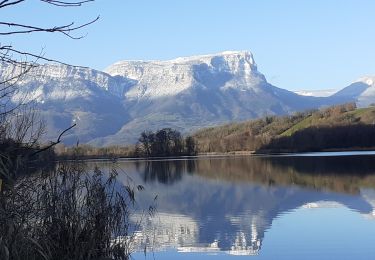 Percorso Marcia Les Mollettes - tour lac saint helene - Photo