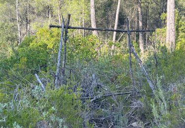 Percorso sport Le Castellet - Le gros cerveau Bandol  - Photo