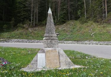 Percorso A piedi Cortina d'Ampezzo - IT-222 - Photo