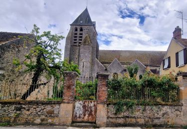 Randonnée Marche Voulx - Entre Yonne et Orvalle  - Photo