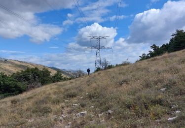 Tour Wandern Caussols - pounch - Photo