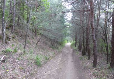 Trail Walking Génissieux - F26380 Peyrins bois des Vignes - Photo