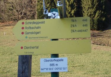 Excursión A pie Goldegg - Meiselsteinalm - Photo