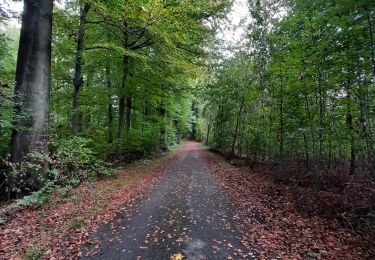 Randonnée Marche Hoeilaert - fForest de Soignes  tumulu - Photo