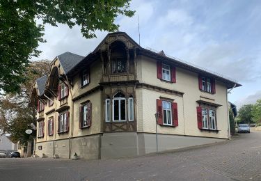 Percorso A piedi Zellertal - Zellertalweg Harxheim - Photo