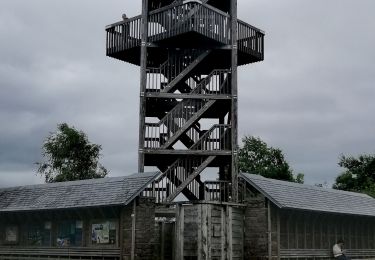 Randonnée Marche Spa - La Fagne de Malchamps   - Photo