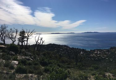 Trail Walking Le Lavandou - Col du canadel à Cavalière  - Photo