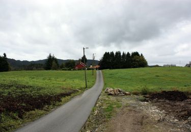 Tocht Te voet Onbekend - Kalandseid - Solbakkafjellet - Photo