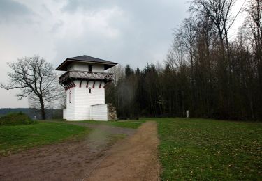 Excursión A pie Adelsheim - Rundwanderweg Wemmershof 1: Römer-Weg - Photo