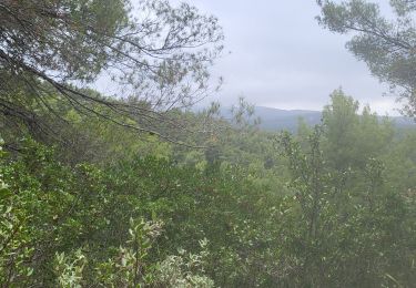 Tour Wandern Évenos - Ste Anne d'Evenos - Photo