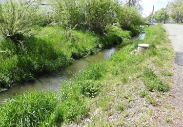 Percorso A piedi Neustadt an der Orla - Durch Wälder Fluren Dörfer des Buntsandsteingebietes - Photo