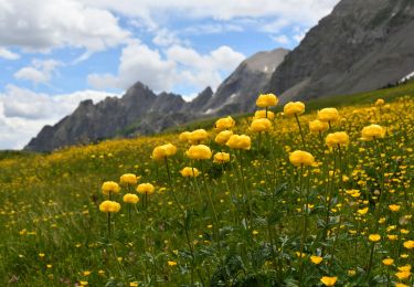 Tocht Stappen Colmars - Pk Ratery - Col des Champs - Photo