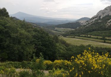 Trail Walking Gigondas - gigondas  - Photo