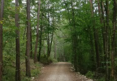 Trail Walking Corcelles-les-Monts - 2020-08-18 Corcelles-les-monts - Photo