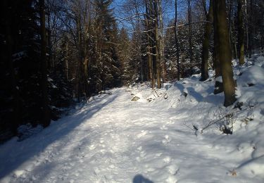 Tocht Te voet Sobótka - Zielony Strzelce - Ząbkowice Śl. - Photo