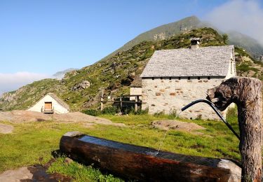 Excursión A pie Trontano - P30 - Alpe in La Piana - Alpe Scaredi - Photo