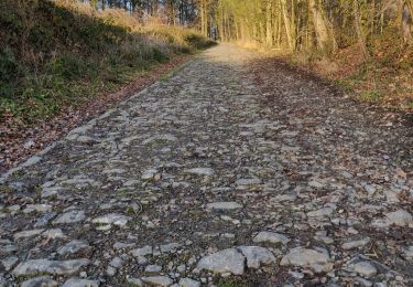 Trail Walking Nandrin - Jolie boucle anthinoise au départ de Favence (Nandrin) - Photo