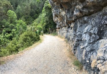 Randonnée Marche Fanlo - Canyon d’Anisclo et village 10 km - Photo