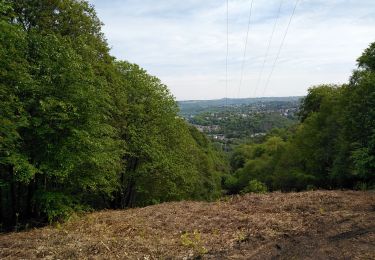 Randonnée Marche Liège - SART TILMAN  - Photo