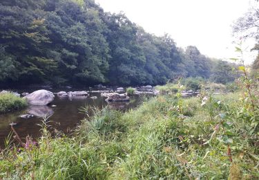 Percorso Marcia Sprimont - combain-au-pont vers camping des - Photo